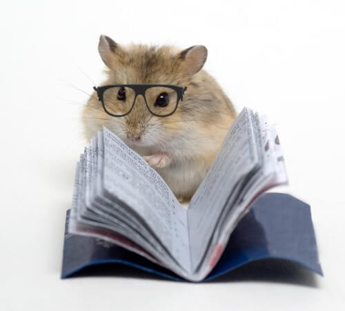 Hamster with glasses 500.jpg