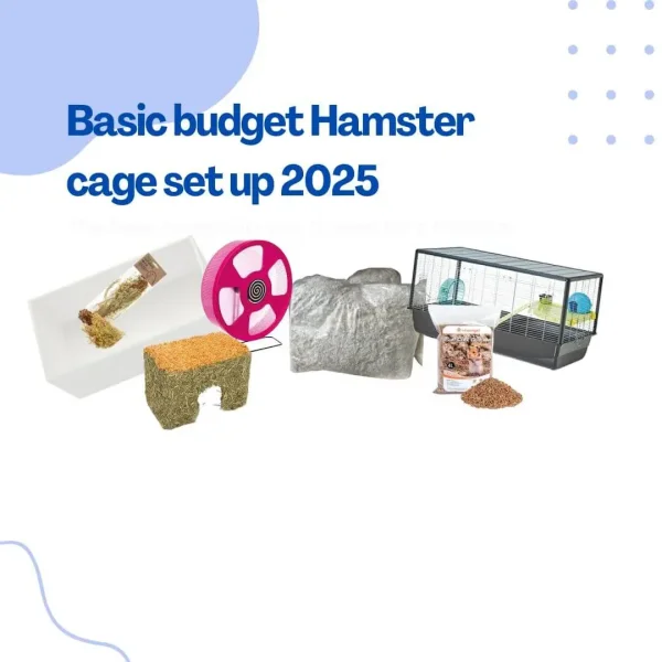 Budget Hamster cage set up.webp