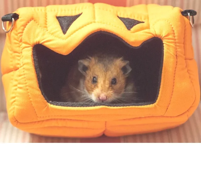 PA240891_1 edited 2.webp