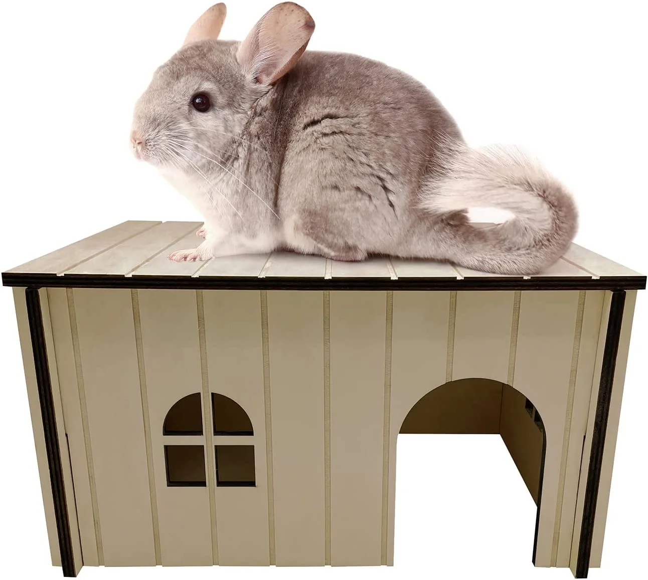 Mascot house.webp