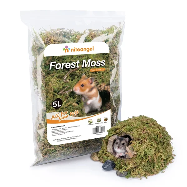 Niteangel moss.webp