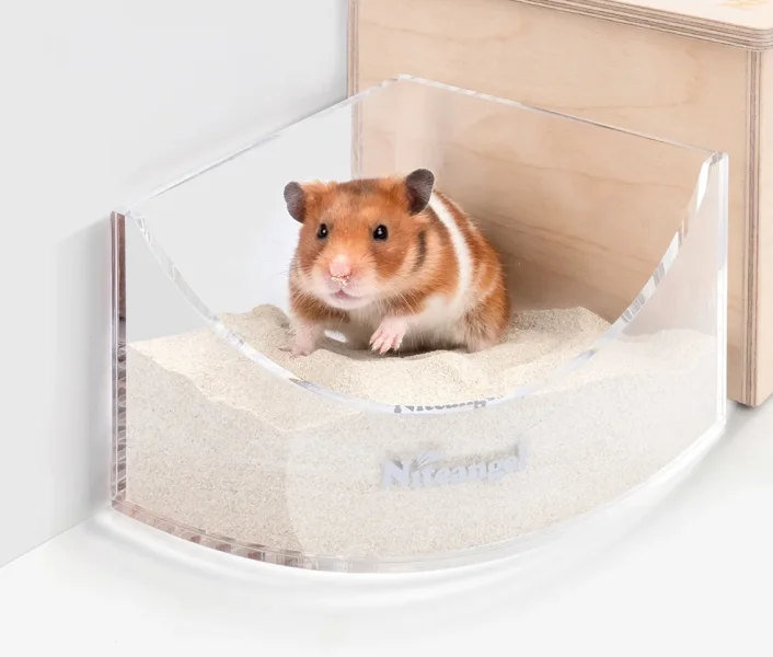 Niteangel small sand bath toilet.webp