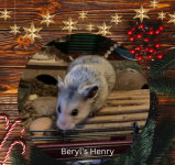 Beryl's Henry.png