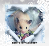 Beryl's Rory as a baby.png