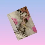 1672068626546.webp
