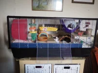 P4231379 resized 650.webp