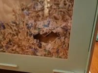 burrow close-up.webp