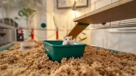 Omlet hamster cage 2.webp