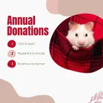 Annual donations request