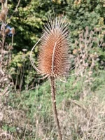 20250929_112819.webp