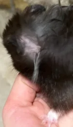 Screenshot 2025-11-24 at 20.45.40.webp