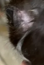 Screenshot 2025-11-24 at 20.45.50.webp