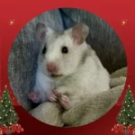 Photo Comp winner Happy