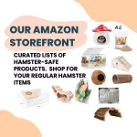 Amazon Storefront graphic.webp
