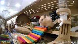 D03F275F68E5_1685760210968.webp