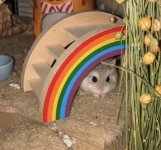 IMG_0441.jpeg