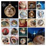 Advent Hamsters 2022 collage.jpg