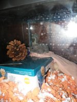 IMG_20231103_134605.jpg