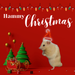 Hammy Christmas photo edit.png