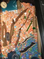 IMG_20231216_203934.webp
