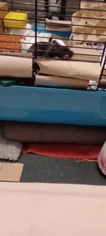 20231220_221811.webp