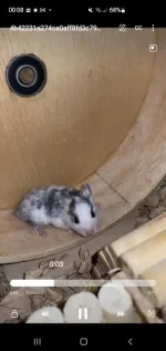 Screenshot_20240503_000856_Video Player.webp