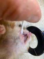 IMG_9174.jpeg