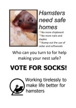 Socks Manifesto_page-0001.jpg