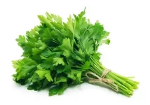 Parsley.webp