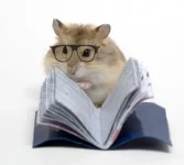 Older Hamster with glasses.webp