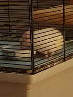 20240817_212315.webp