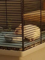 20240817_212413.webp