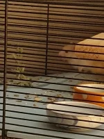 20240817_212614.webp