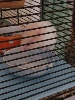 20240818_063833.webp