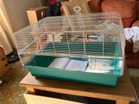 Hamster heaven cage review sale