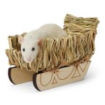 Hamster sleigh.jpg