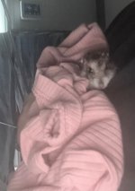 IMG_1741.jpeg