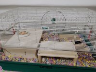 IMG_20250127_205755956_AE.jpg