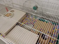 IMG_20250127_205746900_AE.webp