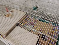 IMG_20250127_205746900_AE.jpg