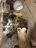 IMG_5078.jpeg