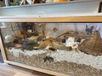 IMG_8794.jpeg