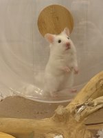 IMG_8805.jpeg