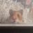 Hewie the Hammie.