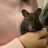 OverTheMoonForMyHammy