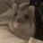 Jellybean