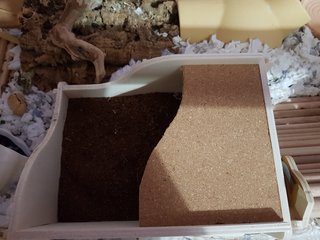 20221101-173332.jpg